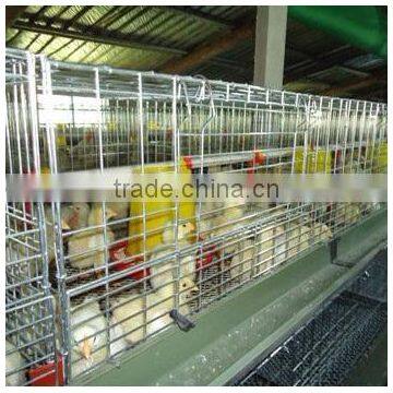 H Type 4 Layer Baby Chicken Cage/ Brooder/ Day Old Chicken Cages For Sale photo-3
