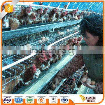 China Wholesale layer chicken cages wire mesh for sale