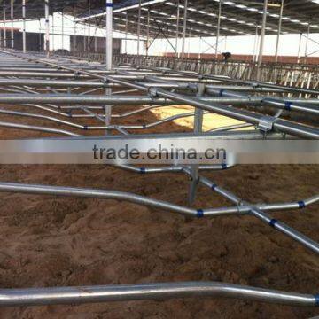 Cow/cattle double stall (cow stall-E)