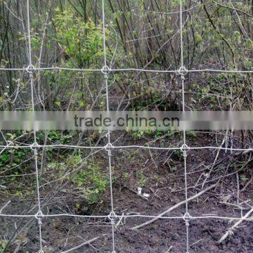 Wire mesh fence for cattle,horse, sheep,poutry and other animal and poutry(Mesh fence-T)