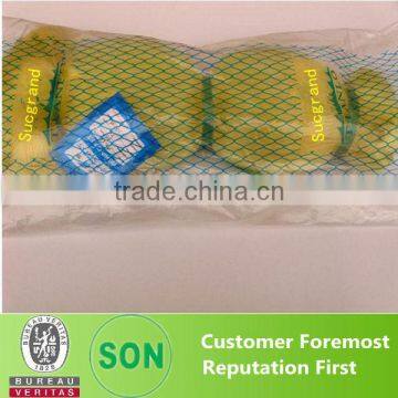 Twisted Nylon t Mono fishing net