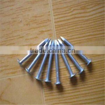 China Manufacturers Supply of Common Nails Polished for Wood photo-5