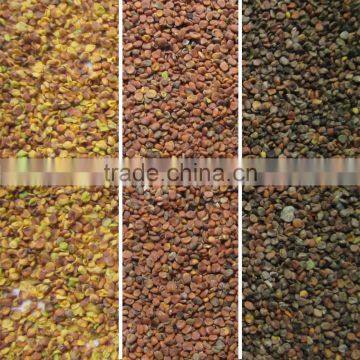 New Arrival Machine CCD Seed Color Selector
