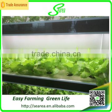 Hot sale hydroponics indoor tent