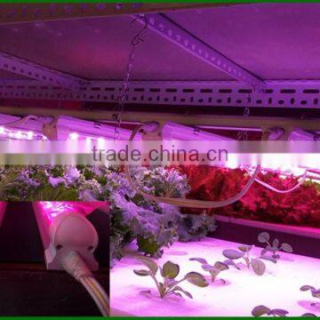 Cheap but Good Full Spectrum Led Grow Lights 20W Best Led Lamp for Hydroculture photo-5