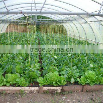 Simple Structure Tunnel Greenhouse For Vegetables/Flowers/Fruits photo-6