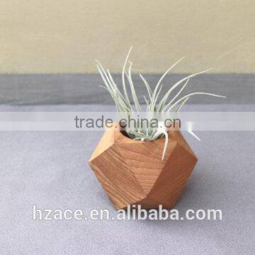Teak Wood Planters photo-3