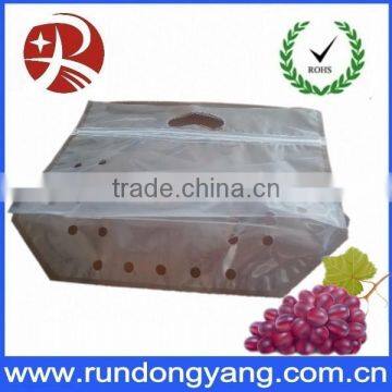 Transparent Slider Zipper Zip Lock Fruit Bag for Grape photo-4