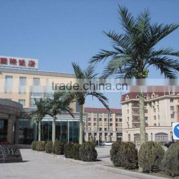 Fake Coconut Tree Resist Wind,frost,rain,UV,snow&decay Artificial Palm Tree photo-2