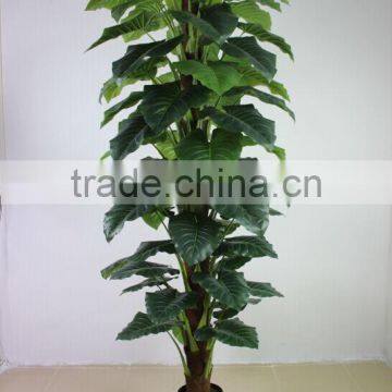 Fake Plastic Plant Green Palm and Banana Trees Suppliers