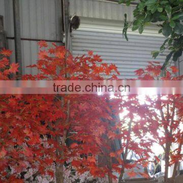 Small Bonsai Artificial Maple Tree for Sale photo-3