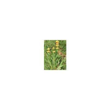 Gentian Root Extract