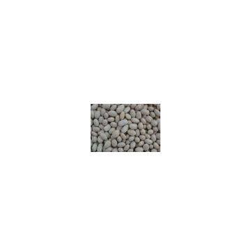 Kidney Beans