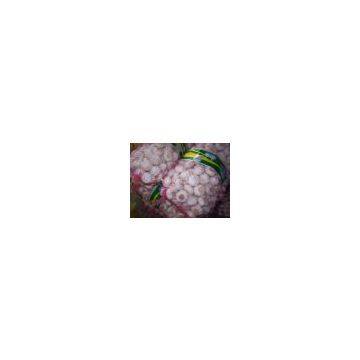 Garlic photo-3
