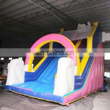 Popular Theme Park Slides, Cat Inflatable Bouncy House, ,inflatable Castle photo-5