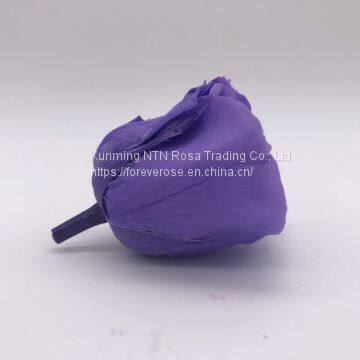 Preserved Fresh Roses Flower for Home Decoration photo-4