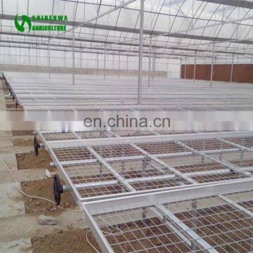 Low Cost Orchid Nursery Greenhouse For Agriculture