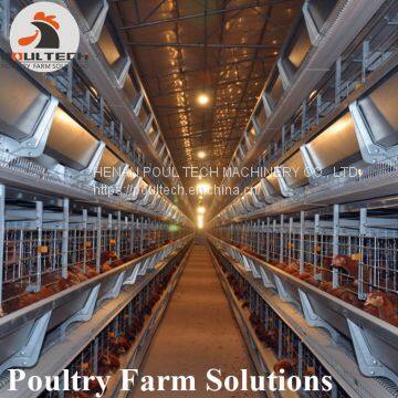 H type layer chicken chicken cage with full automatic equipment