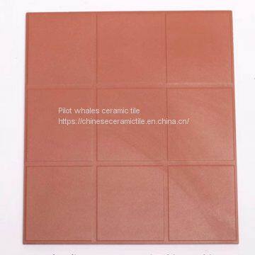 Non-slip & Oil-absorbing For Swimming Pools Large Quarry Tiles
