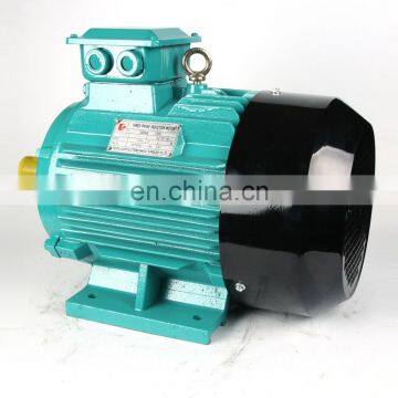 THREE PHASE ELECTRIC MOTOR photo-3