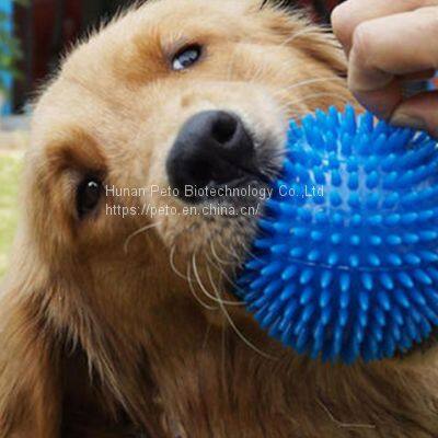 Dog Bouncy Ball