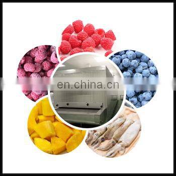 TCA Iqf Freezer Manufacturers Iqf Tunnel Freezer for Pizza photo-5