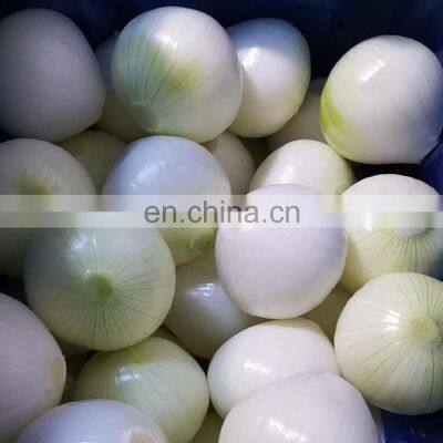 Year Round European Standard Harvest 2019 Skin Off Yellow Whole Round Fresh Onions from China