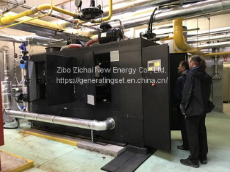 LPG Gas Propane Gas Electric Gas Generator 20kw 50kw 100kw Price