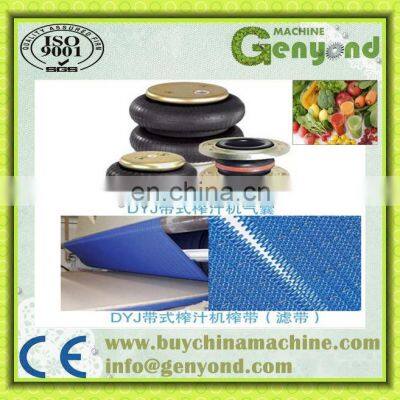 Turnkey Project Industrial Apple Juice/fruit Juice Processing Equipment Line photo-4