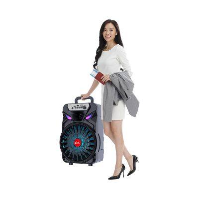 ZQS8167 Sell Well Subwoofer 20W Power Single 8 Inch Speaker Wireless Bass Sound Bluetooth Speaker photo-6