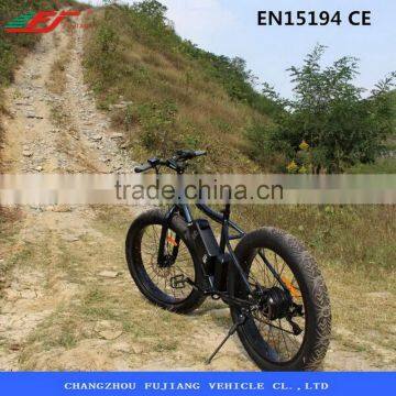 2015 special powerful electric fat mountain bike 500W 48V lithium battery