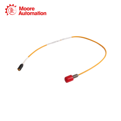 Bently Nevada 10030-05-30-05-02 photo-3