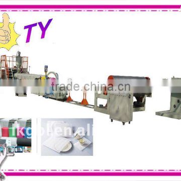 Polyethylene EPE Foam Sheet Plastic Extruder High Quality