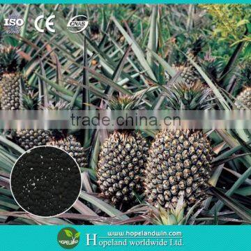 Biomass Soil Conditioner photo-2