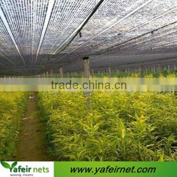 fruit anti hail guard net for greenhouse
