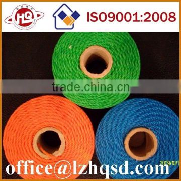 2mm 3 twisted PE twine with factory price