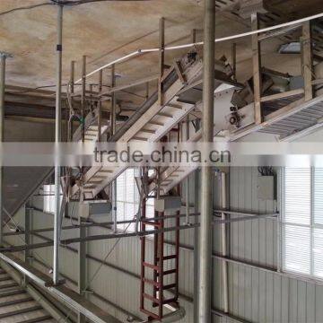 Dehydrated Vegetable Pre-processing Line for Sweet Potato/Vegetable Dehydrator photo-2