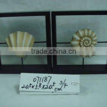 Polyresin sea shell with frame