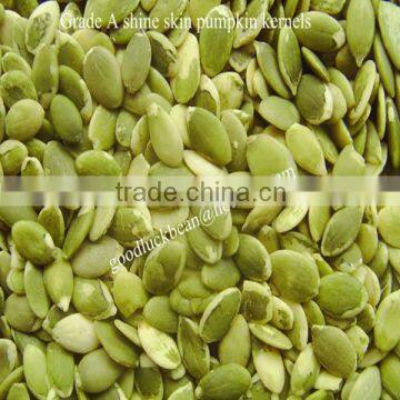 Wholesale shine skin Pumpkin Seeds kernels (A,AA)