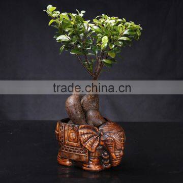 Antique relief elephant animal shape animal shape flower pot