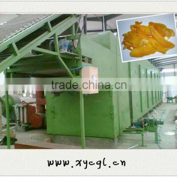 Fruity Dried Mango Processing Machine