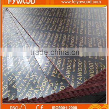 18mm 4'x8' Poplar Core Film Faced Plywood photo-5