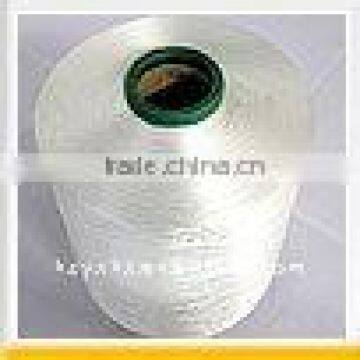 Polyester Blanket DTY Trilobal Bright 300D/192F