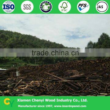 Solid Pine Wood Boards for Sale photo-4