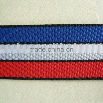 Polypropylene Webbing ( PP webbing )