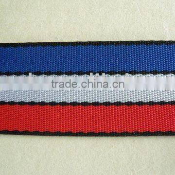 Polypropylene Webbing ( PP Webbing )