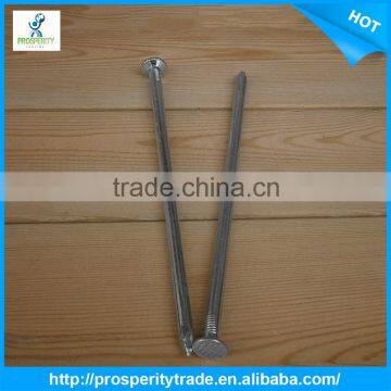 cheap and high quality steel nails wall concrete nail