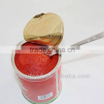 High Concentration Canned Tomato Paste