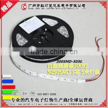 Popular Hot 12V 5M/10M Floor Light LED Strip Lighting