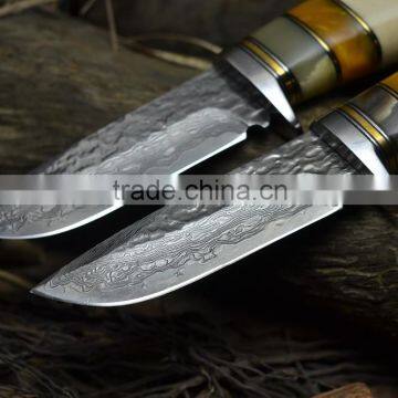 Doshower Damascus Hunting Knife With Promotional Gift of Eagle Wood Prices photo-4